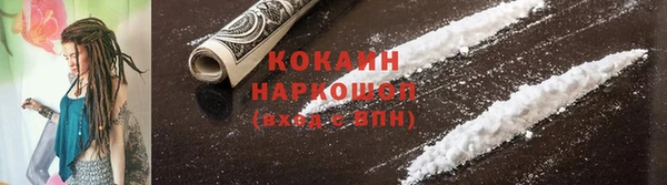 спайс Алзамай