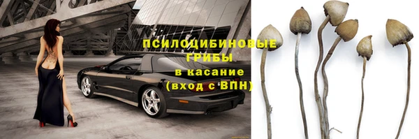 твердый Алексеевка