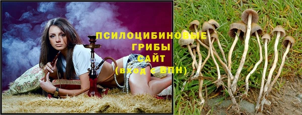 твердый Алексеевка