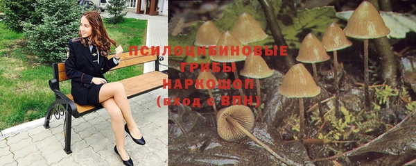 твердый Алексеевка