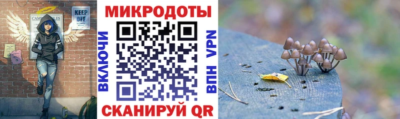 kraken ССЫЛКА  Березники  Псилоцибиновые грибы Psilocybe 